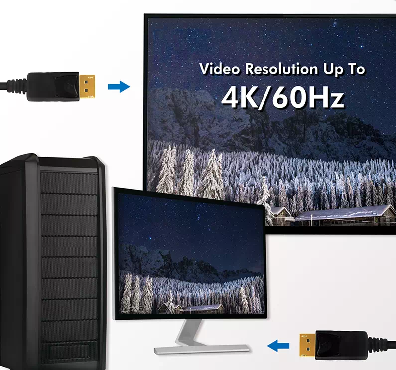 Cordon DisplayPort 1.2 CCS en 1,00m, CD0100