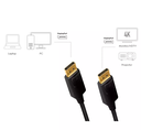 Cordon DisplayPort 1.2 CCS en 1,00m, CD0100