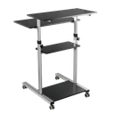 Poste de travail assis-debout, réglable en hauteur, mobile, 60 kg max. 