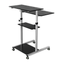 Poste de travail assis-debout, réglable en hauteur, mobile, 60 kg max. 