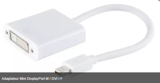 Adaptateur Mini DisplayPort M / DVI-I F