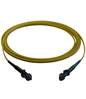 [1300062] Jarretière optique MTRJ - MTRJ Duplex Monomode 9/125µ 5,00 m
